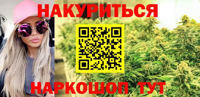 МДПВ Бийск