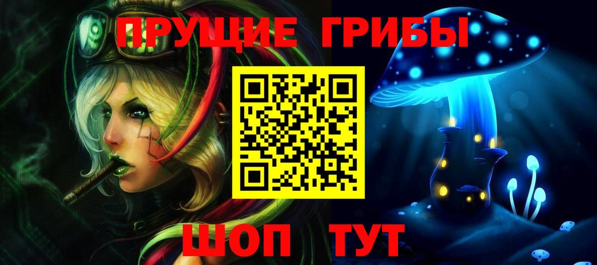 Псилоцибиновые грибы мицелий Вышний Волочёк