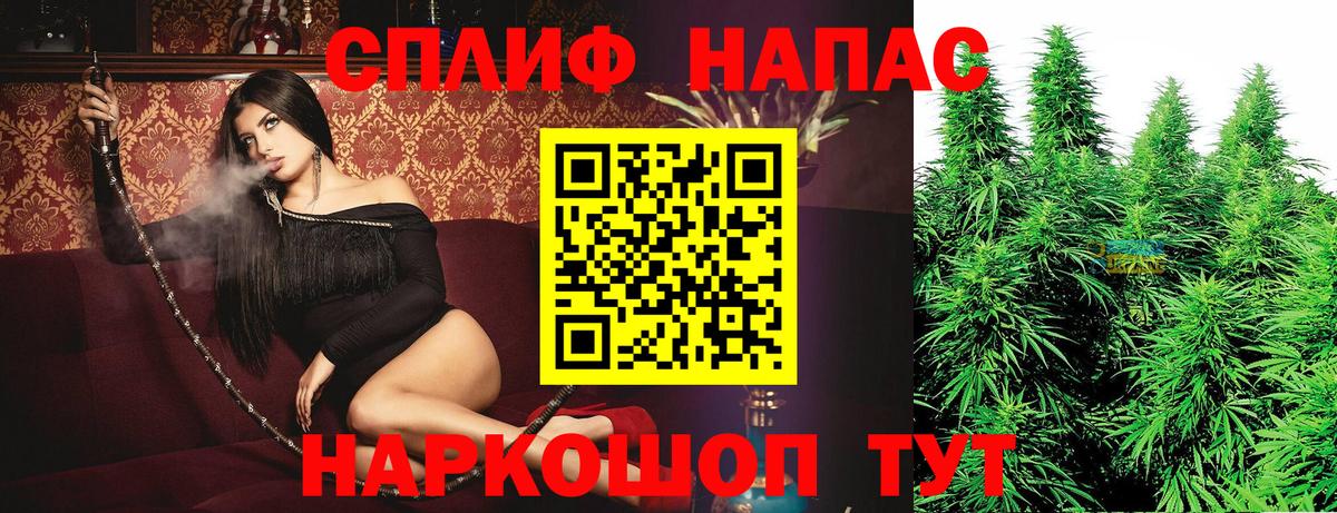 Бошки марихуана индика  Канабис White Widow  Вышний Волочёк  Канабис VHQ  Вход с VPN  Канабис сатива 